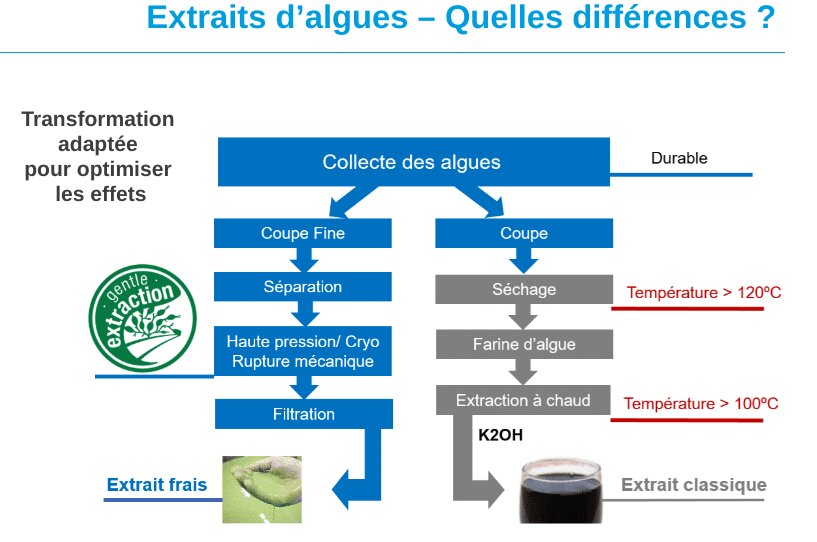 Produire des biostimulants efficaces, grâce à une extraction à froid - © D.R.