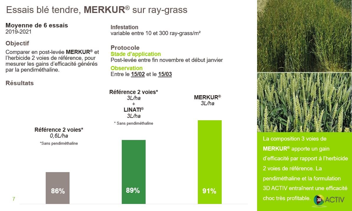 Herbicides céréales : une composition 3 voies et une formulation unique pour un champion de la lutte contre les résistances - © D.R.