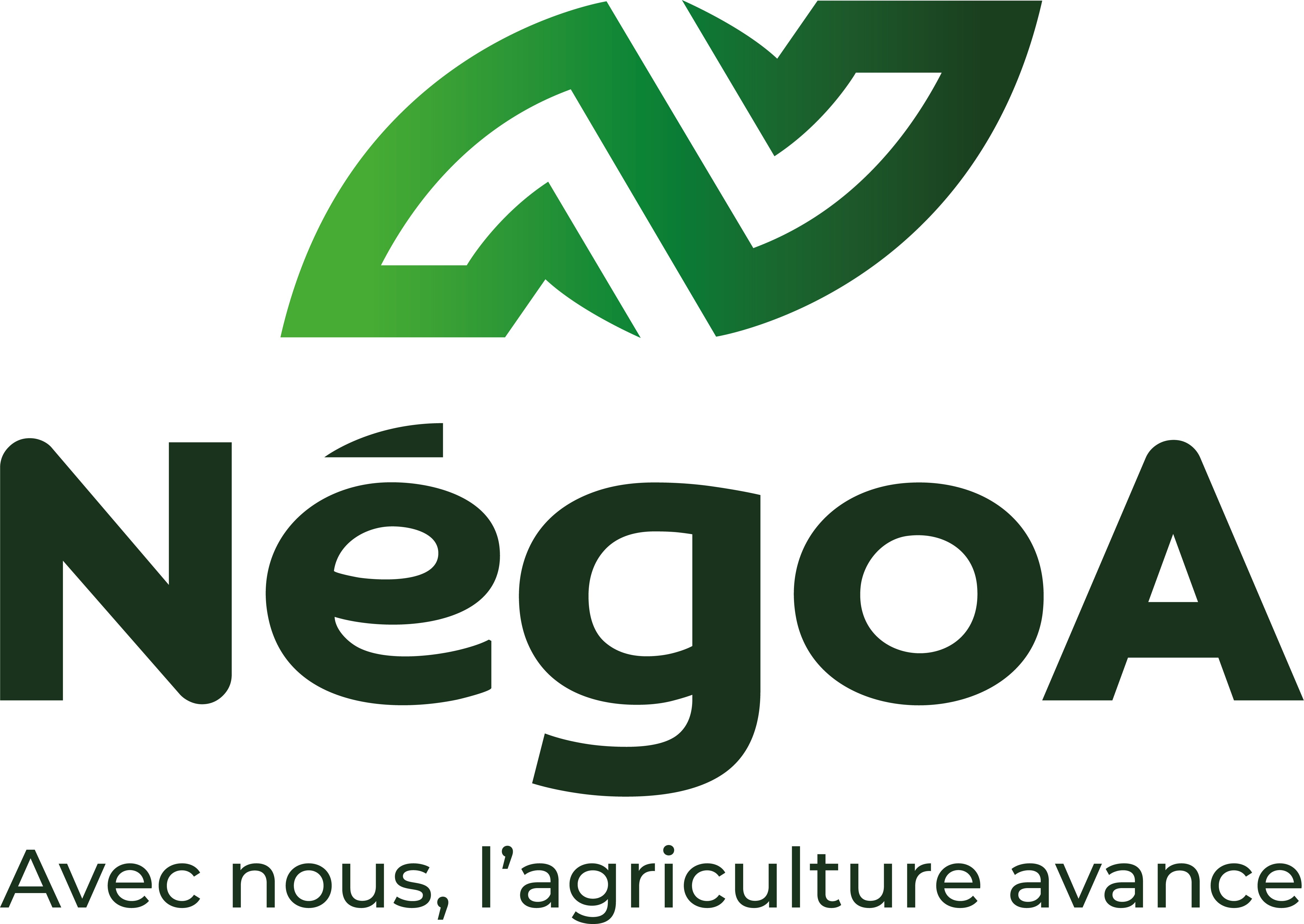 Un logo plus dynamique - © NégoA