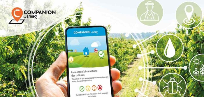 La solution d’observation des cultures « BASF Companion » change de propriétaire et devient « Companion by SMAG »