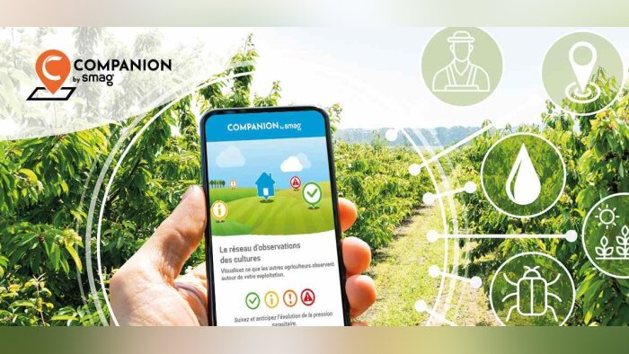 La solution d’observation des cultures « BASF Companion » change de propriétaire et devient « Companion by SMAG »