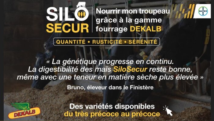 Sécuriser l’ensilage face aux aléas : l’apport du label SiloSecur de DEKALB