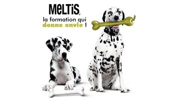 Comment motiver ses collaborateurs sans les augmenter ? - © D.R.