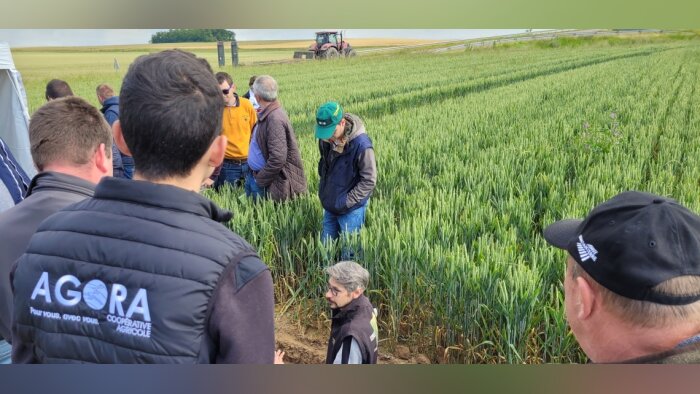 Les Estivales Agroexpé d’Agora ont réuni 400 participants