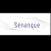 Senanque - © D.R.
