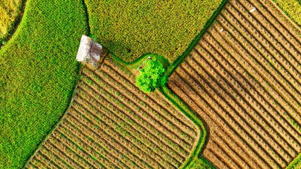 Les parcours de création des biostimulants ne se ressemblent pas toujours - © Thomas Fisk de corelens