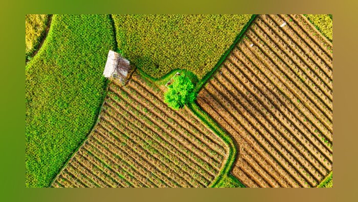Les parcours de création des biostimulants ne se ressemblent pas toujours - © Thomas Fisk de corelens