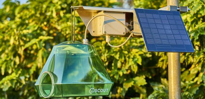 Surveillance des ravageurs, BASF et PESSL instruments s’associent