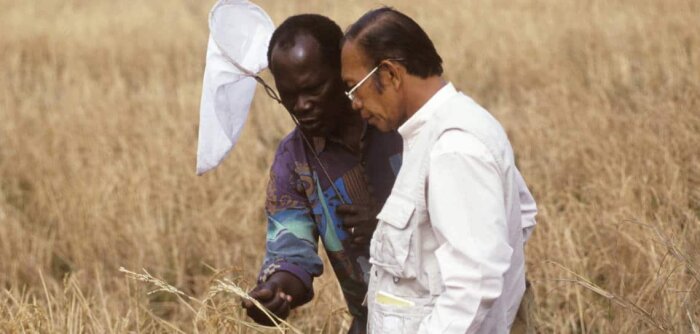 Crédit : FAO_J.-Spaul - © D.R.