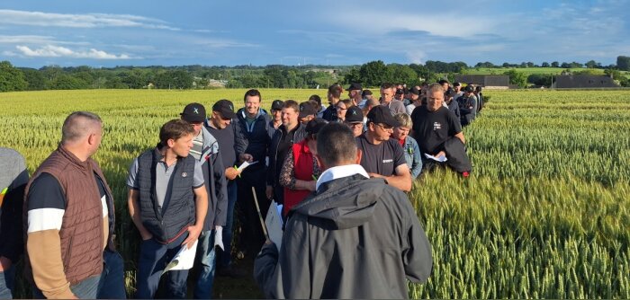 Cinq négoces d’Impaact accueillent 1400 agriculteurs lors de visites techniques