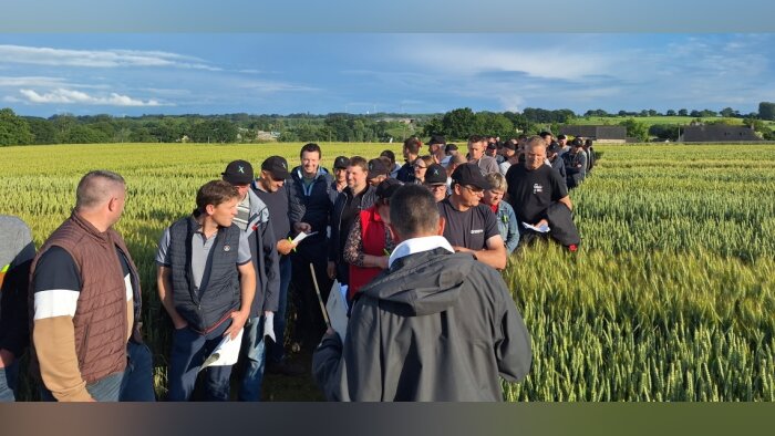 Cinq négoces d’Impaact accueillent 1400 agriculteurs lors de visites techniques