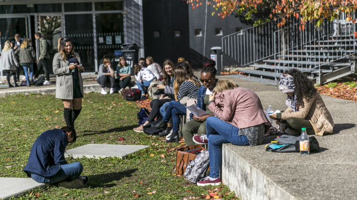 L’association VP Trees existe depuis le 2 septembre 2022. - © France Universités-Université de Haute-Alsace