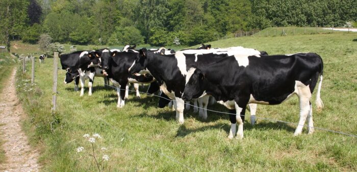 Terrena propose des contrats aux producteurs Lactalis pour un volume de 40 millions de litres de lait