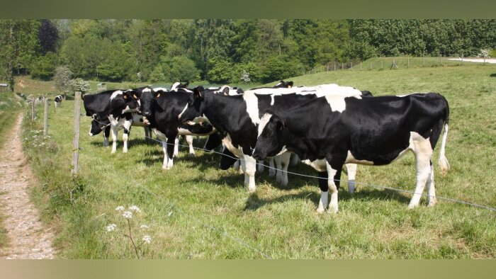 Terrena propose des contrats aux producteurs Lactalis pour un volume de 40 millions de litres de lait