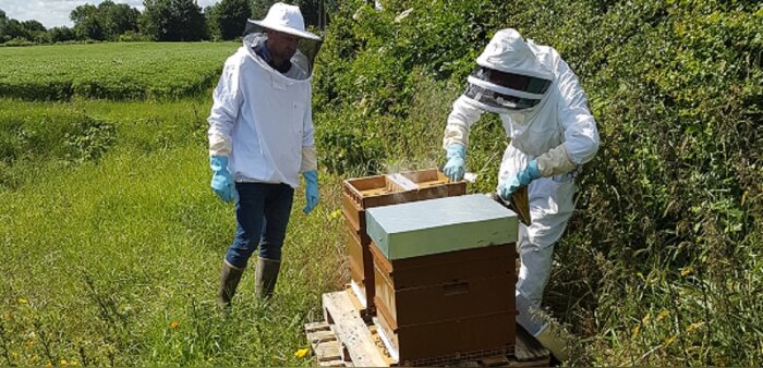 Plan pollinisateurs, consultation publique prévue fin mars
