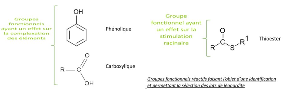 Les substances humiques - © D.R.