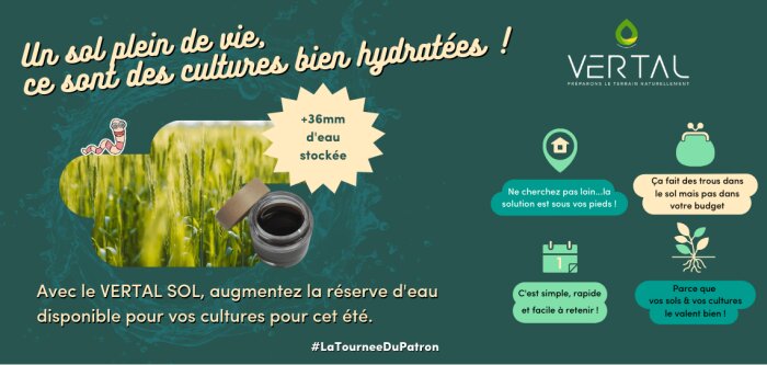 La sécheresse agricole revient, comment limiter ses effets ? La solution est sous vos pieds…