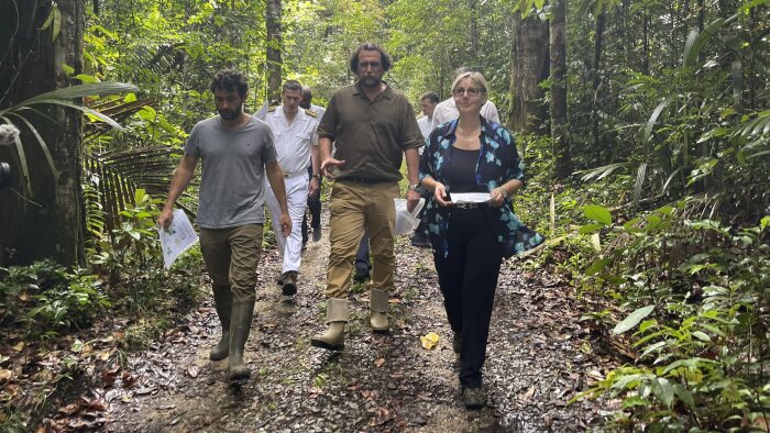 La ministre de l’ESR a réalisé un déplacement en Guyane en décembre 2022. - © Gouvernement