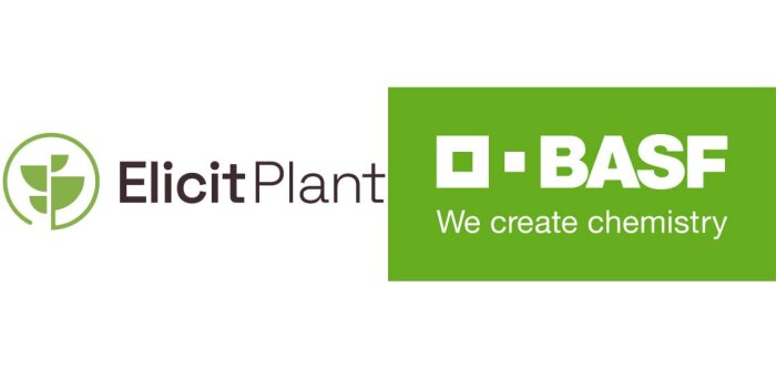 BASF et Elicit Plant s’associent pour favoriser l’entrée de nouvelles bio-solutions sur le marché du tournesol et des céréales à paille