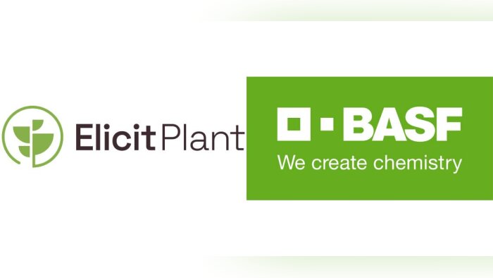 BASF et Elicit Plant s’associent pour favoriser l’entrée de nouvelles bio-solutions sur le marché du tournesol et des céréales à paille