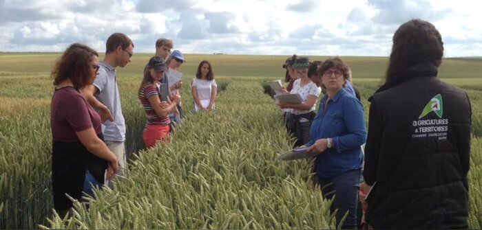 Session collective de conseil stratégique phytosanitaire. Crédit : Chambre d’agriculture de la Marne - © D.R.