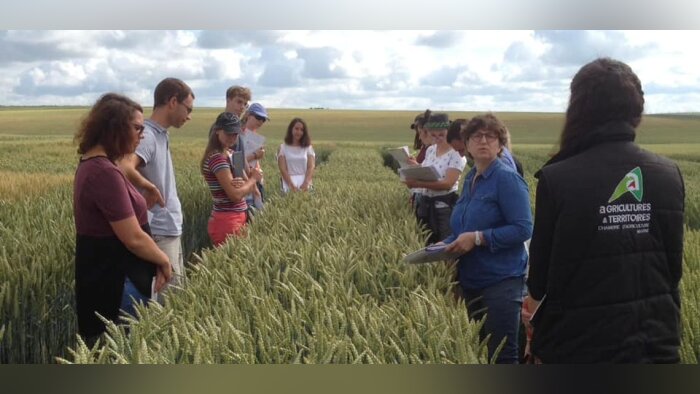 Session collective de conseil stratégique phytosanitaire. Crédit : Chambre d’agriculture de la Marne - © D.R.