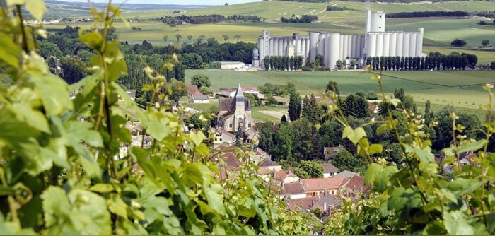 Soufflet mise sur son « We do fair » pour accélérer sa transition climatique