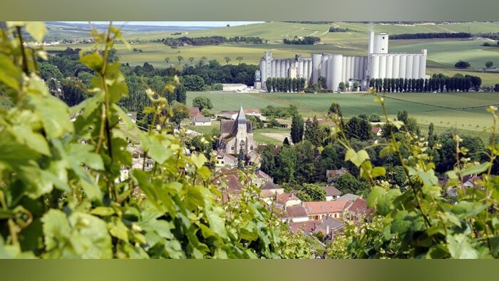 Soufflet mise sur son « We do fair » pour accélérer sa transition climatique