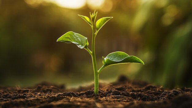 Biosolutions : une valeur totale de la production européenne estimée à 132 Md€ en 2035 (ADC/Novonesis)