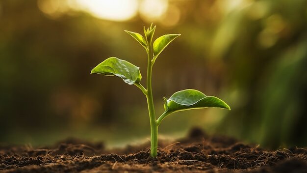 Exclusif : une offre en biostimulants déjà riche et en constante évolution