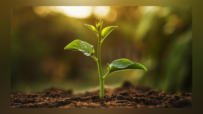 Exclusif : une offre en biostimulants déjà riche et en constante évolution