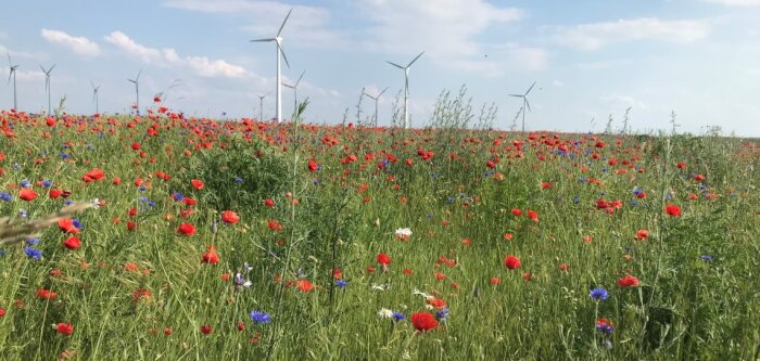 Bayer lance un programme de décarbonation