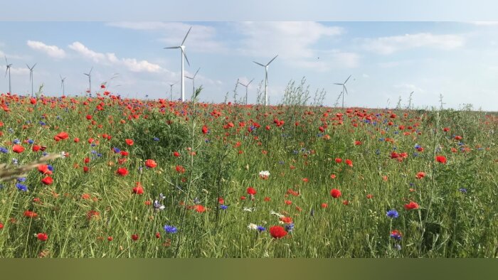 Bayer lance un programme de décarbonation