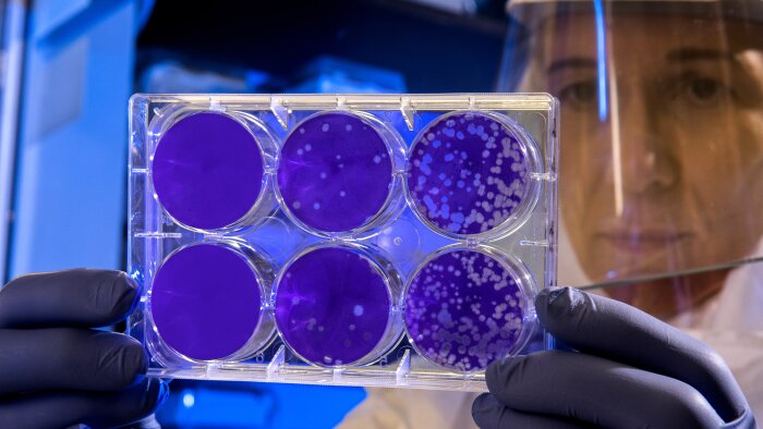 Pourquoi utiliser le cahier de laboratoire national ?