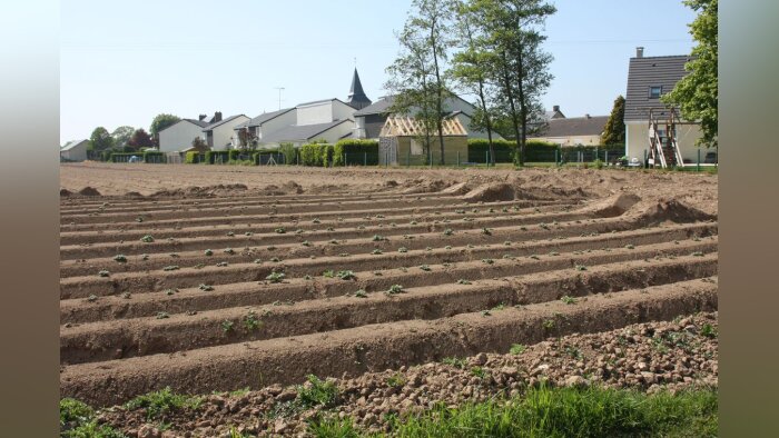 Pesticides, les chartes départementales jugées inconstitutionnelles