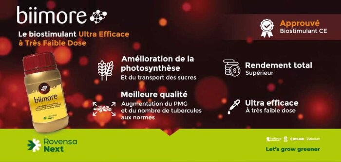 Biimore, le biostimulant unique multi-actions à faible dose