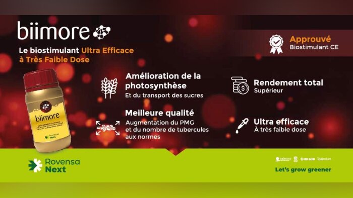 Biimore, le biostimulant unique multi-actions à faible dose