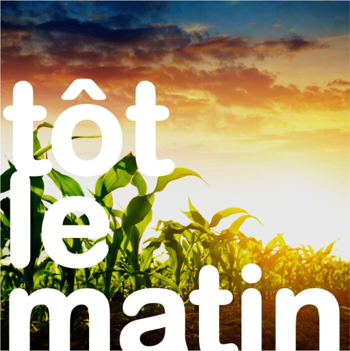 Sécuriser les semis pour gagner en sérénité