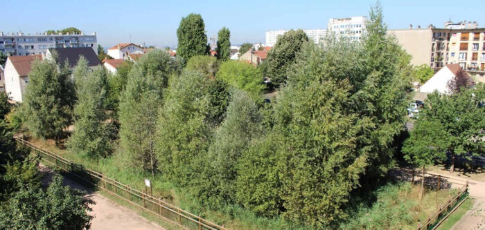 Suspension de six arrêtés anti-glyphosate