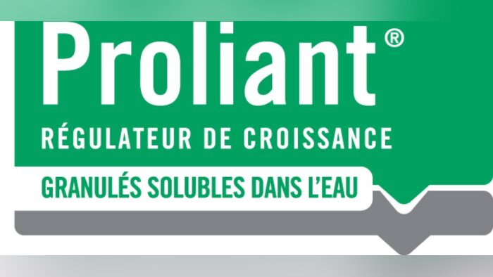 Proliant, première solution de biocontrôle disposant d’une AMM pour un démarrage sécurisé du maïs