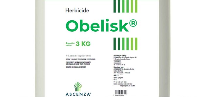 Obelisk : une nouvelle solution complète pour les désherbages des céréales en sortie hiver