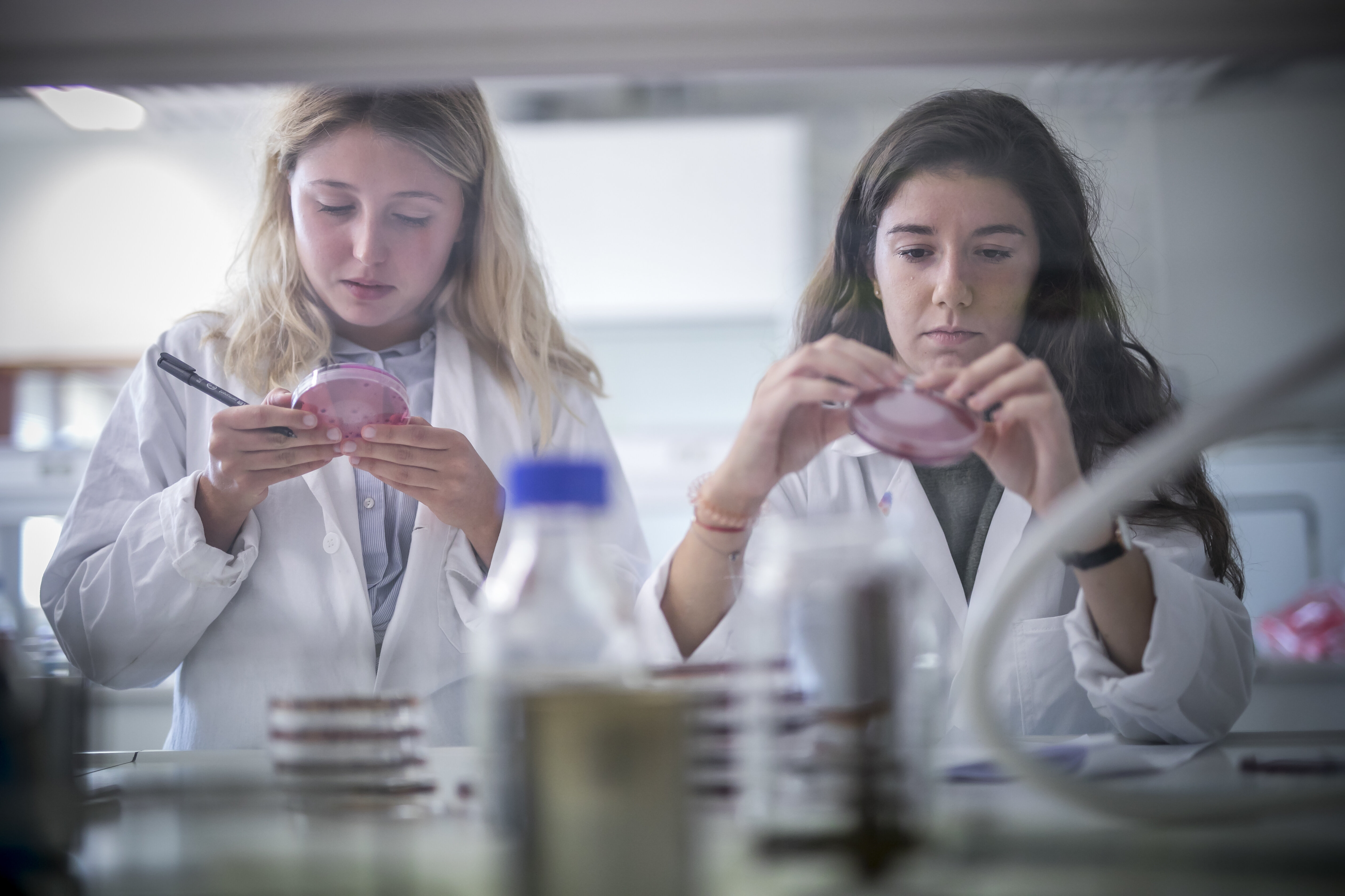 Selon les disciplines, des doctorantes évoluent dans un environnement principalement masculin. - © France Universités- Université de Haute-Alsace