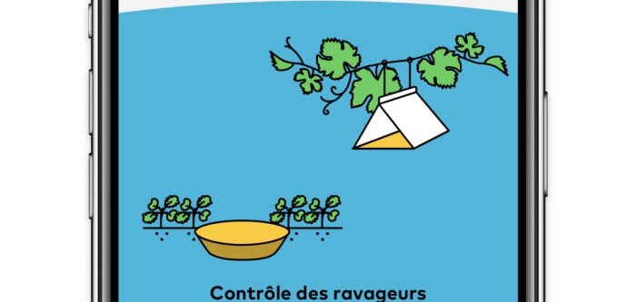 L’application xarvio Scouting analyse désormais les pièges à phéromones