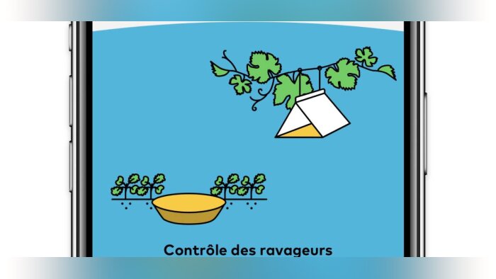 L’application xarvio Scouting analyse désormais les pièges à phéromones