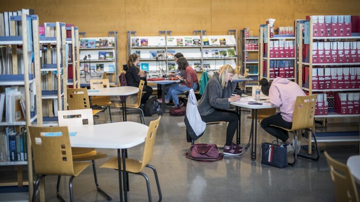 « Il ne s’agit pas de choisir entre anciens et nouveaux services », estime Yann Marchand. - © France Universités - Université de Lorraine