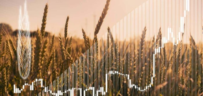 Megafol, un biostimulant pour les stress d’automne