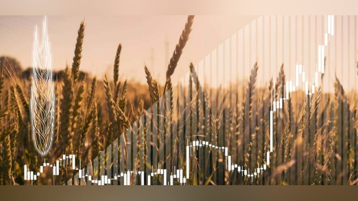 Megafol, un biostimulant pour les stress d’automne
