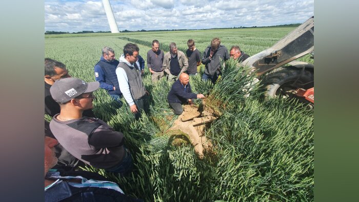 Didier Renard, expert du service agronomie pour la coopérative NatUp. - © D.R.