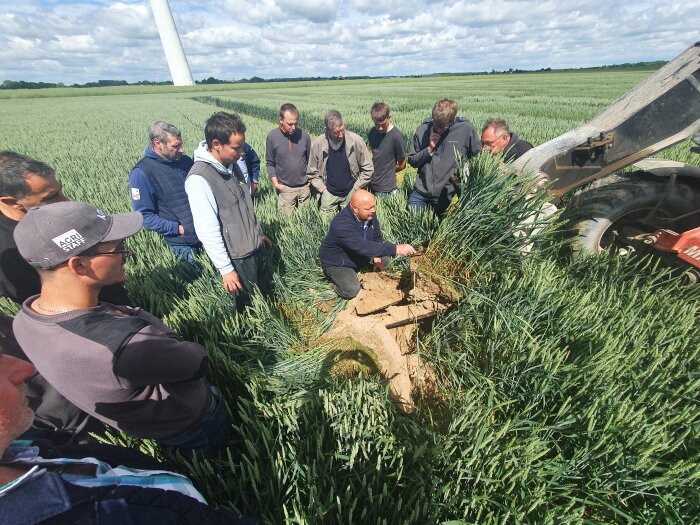 Didier Renard, expert du service agronomie pour la coopérative NatUp. - © D.R.