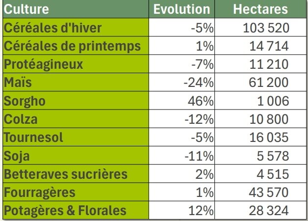 Semences : des baisses de production et des ruptures d’approvisionnement possibles - © D.R.